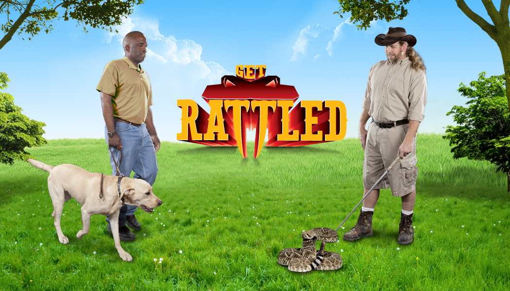 Rattlesnake Avoidance Training for Dogs! - on Sat Aug 16, 2014