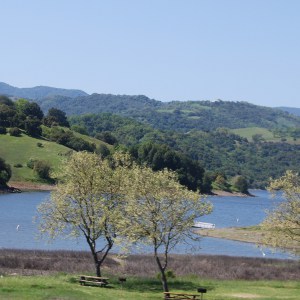 Earthquake Could Impact Calero Lake Reservoir