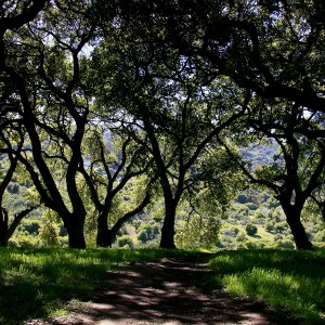 Coalition Trying to Save State’s Parks, Farmland