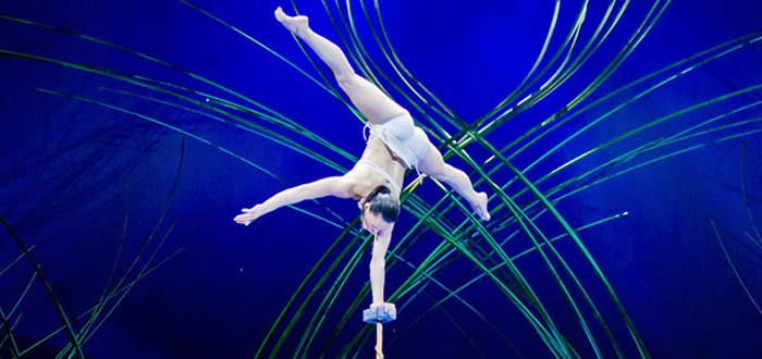 Cirque du Soleil Returns With Amaluna