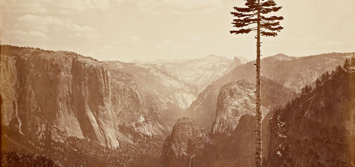 Stanford Exhibition Showcases Photographer Carleton Watkins’ Work at Yosemite