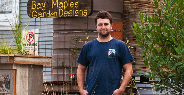 Drought Landscaping Tips From Bay Maples