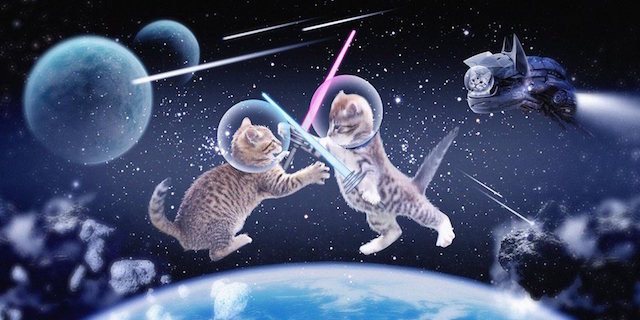 San Jose’s St. James Park to Host ‘Cats in Space’ Make-a-Wish Event