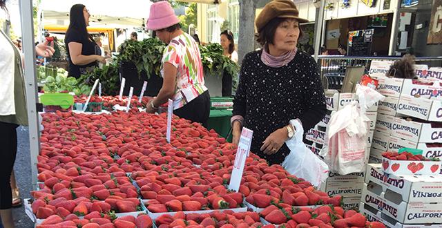 SoFA District Sprouts New Farmers Market