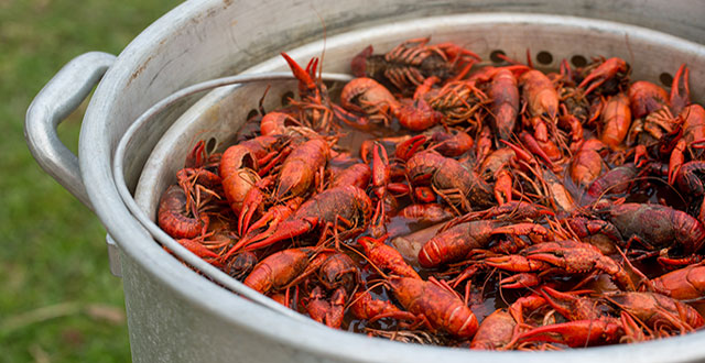 Summer Boil: Cooking Up Crawfish